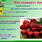 Язык роз: как цвет отражает настроение и символику