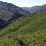 Кухруд:  флора и фауна горного массива